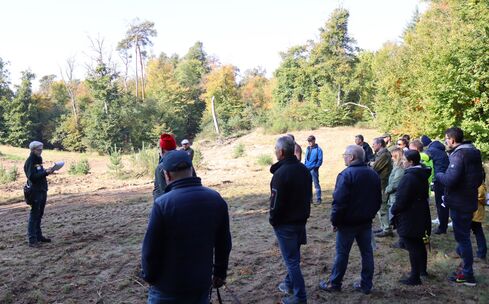 Großes Interesse an der öffentlichen Waldbegehung Kronau 